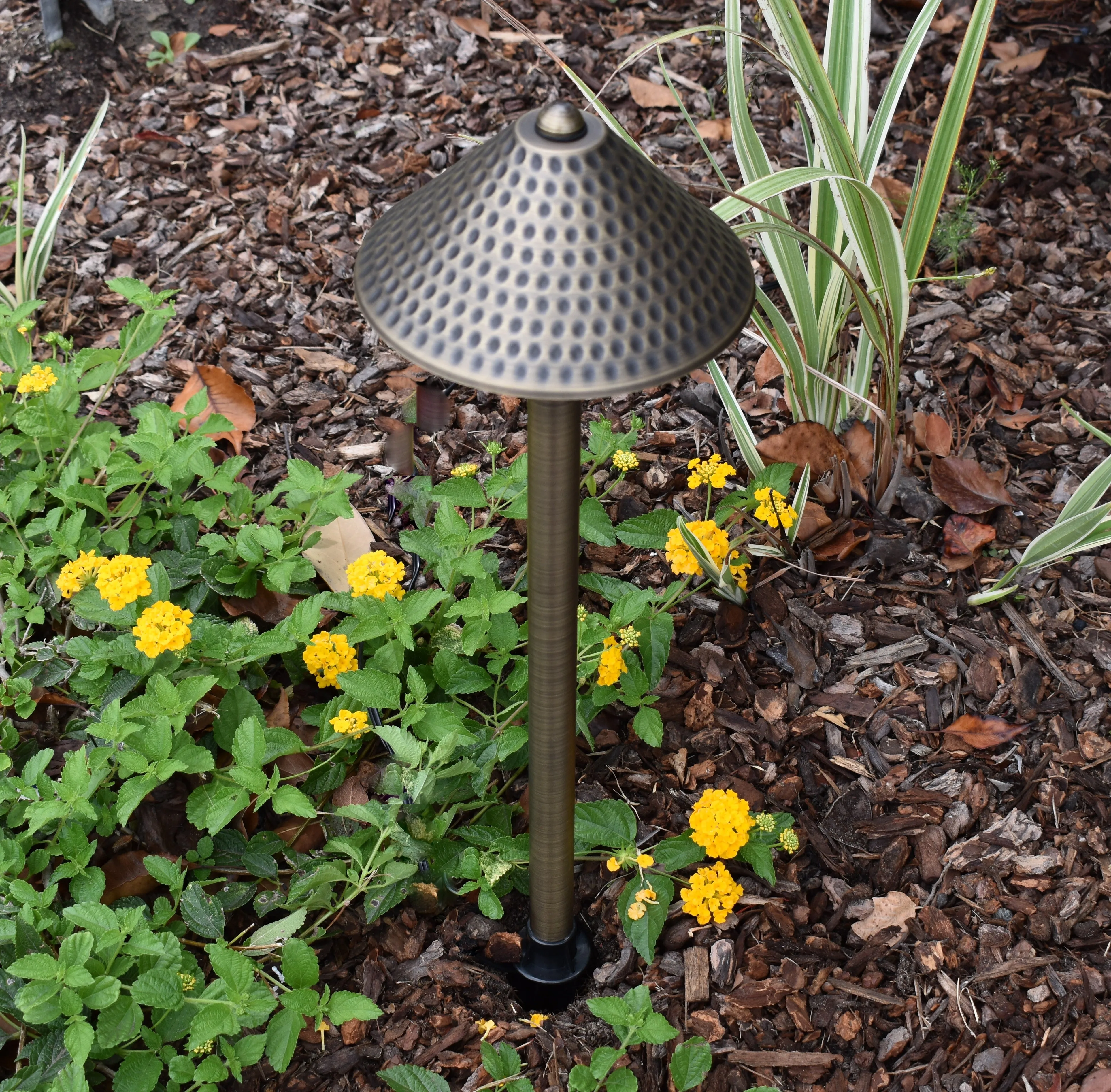 4 Pack Versaille Solid Brass Path & Area  Light - Professional Landscape Lighting