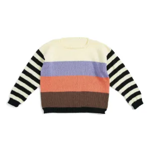 Caron Change Your Stripes Knit Sweater