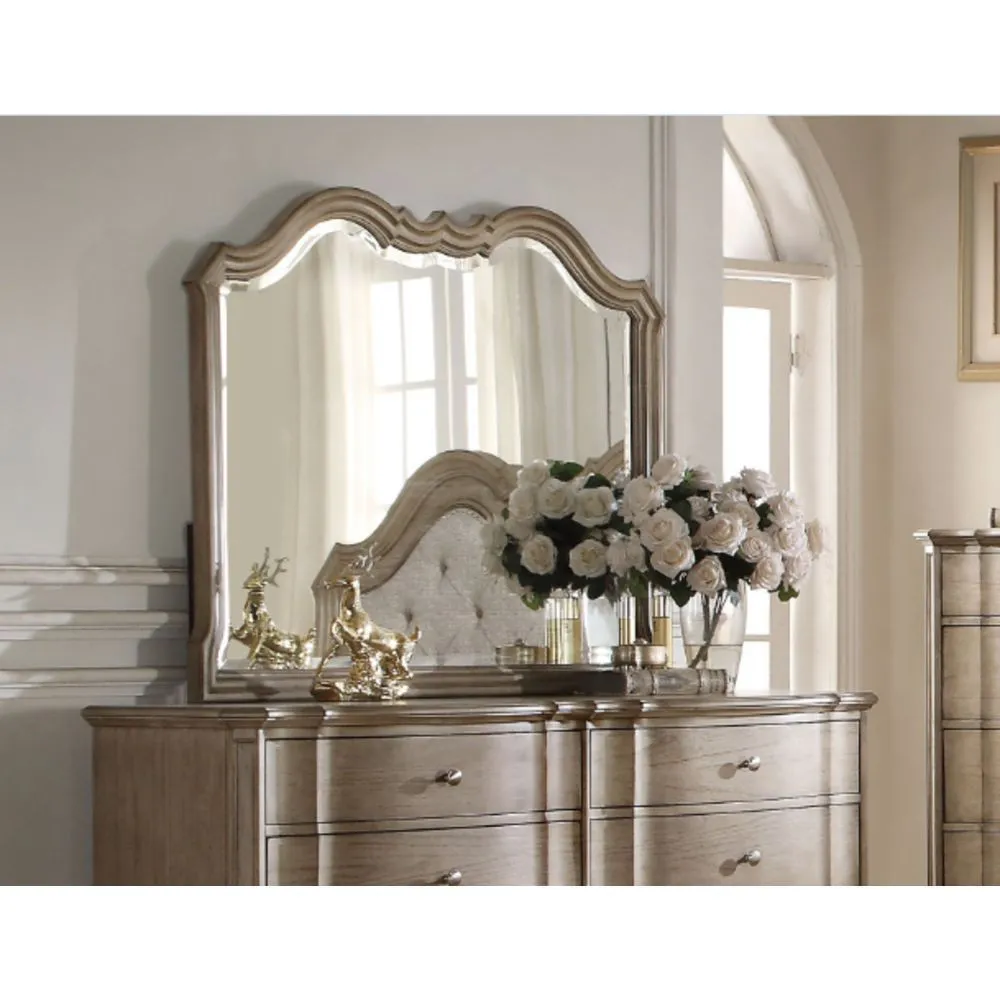 Chelmsford Mirror in Antique Taupe 26054