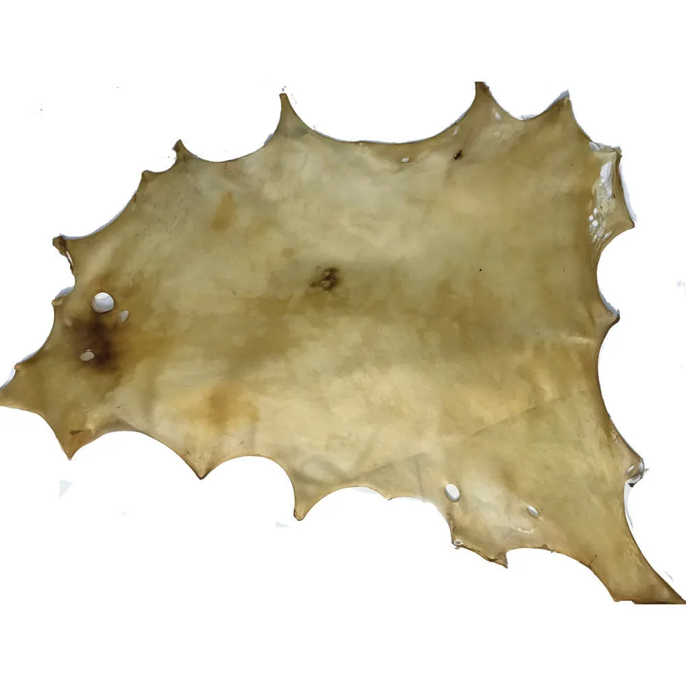 Deerskin Rawhide - 2 oz Hide - Large, XL, or XXL - A Grade - B Grade