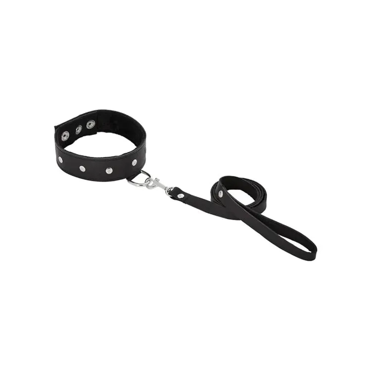 Leather Collar and Leash Set