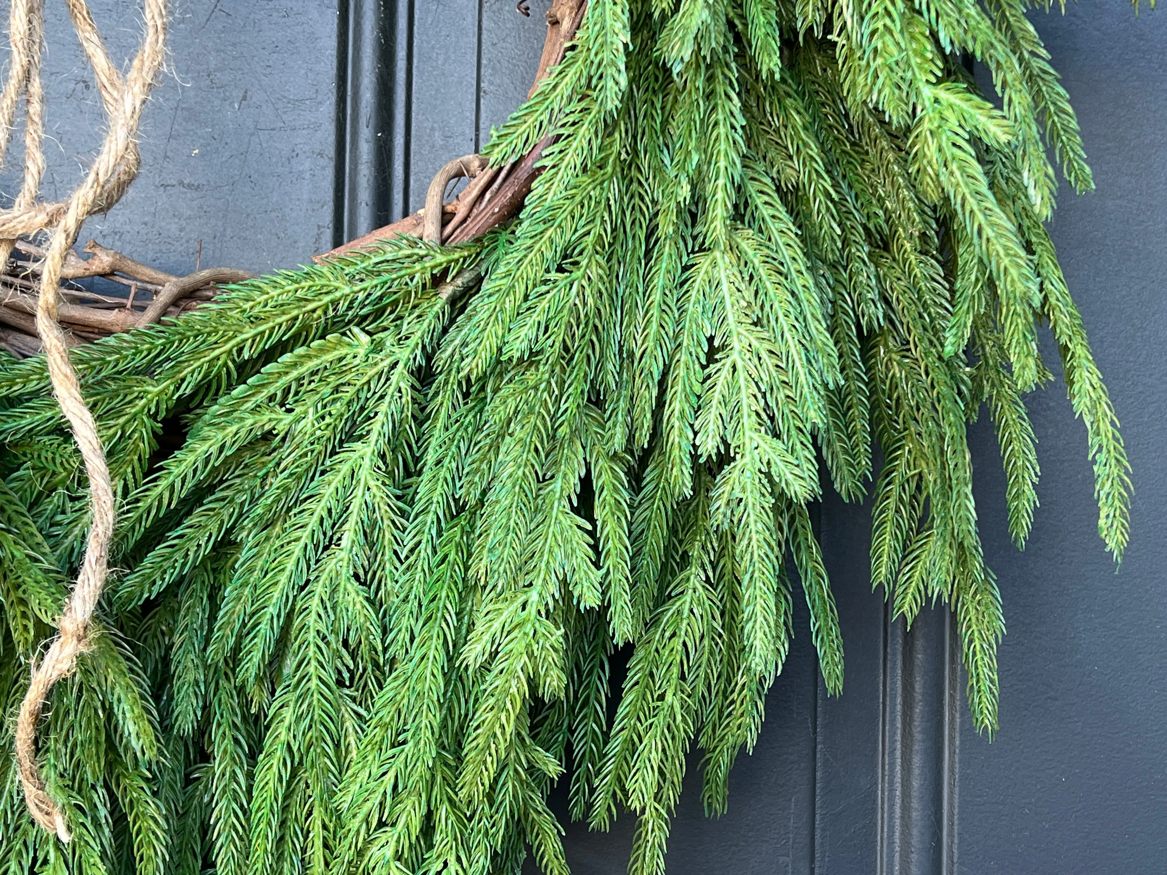 Norfolk Pine Decorative Wreath for Front Door