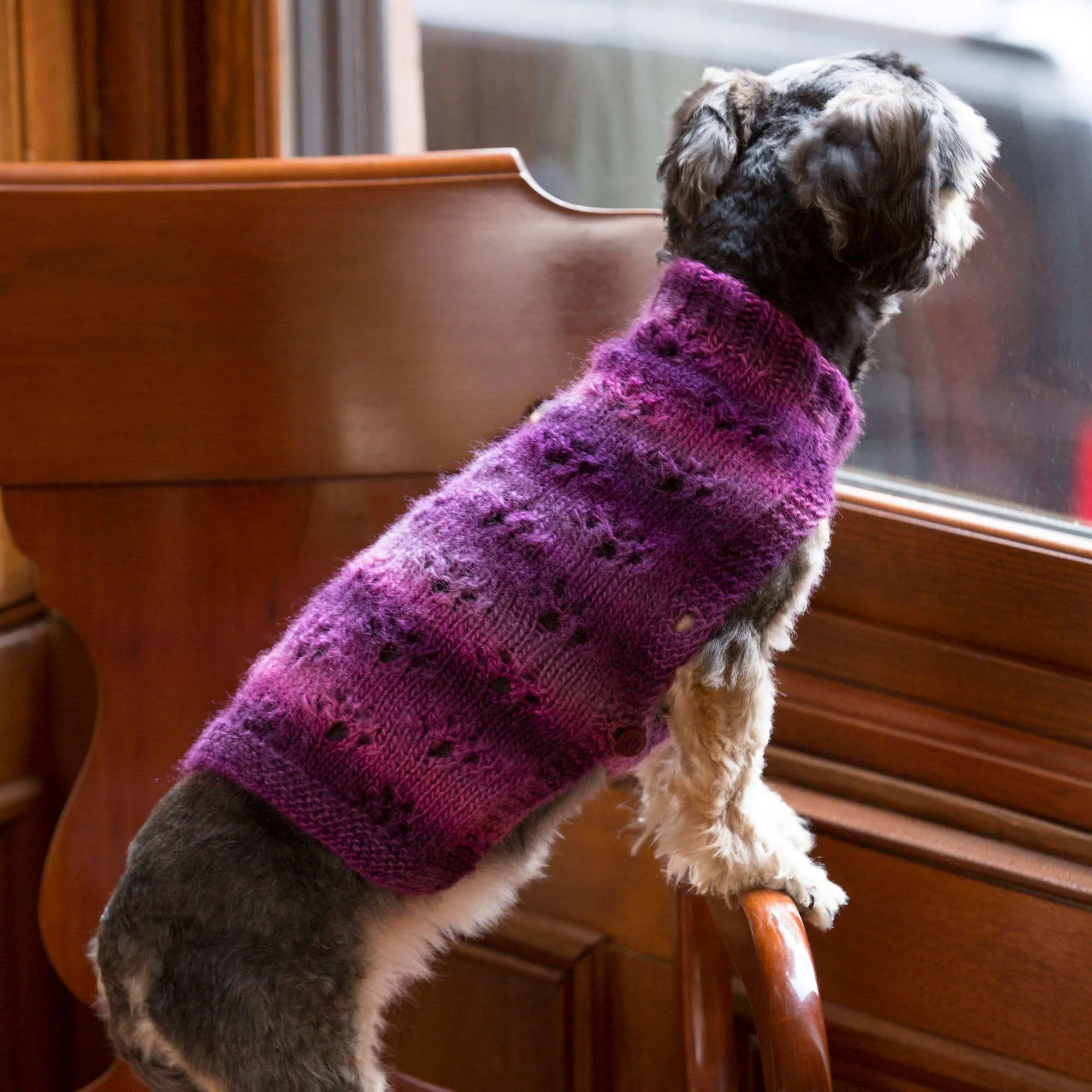 Red Heart Knit Paw Print Dog Sweater