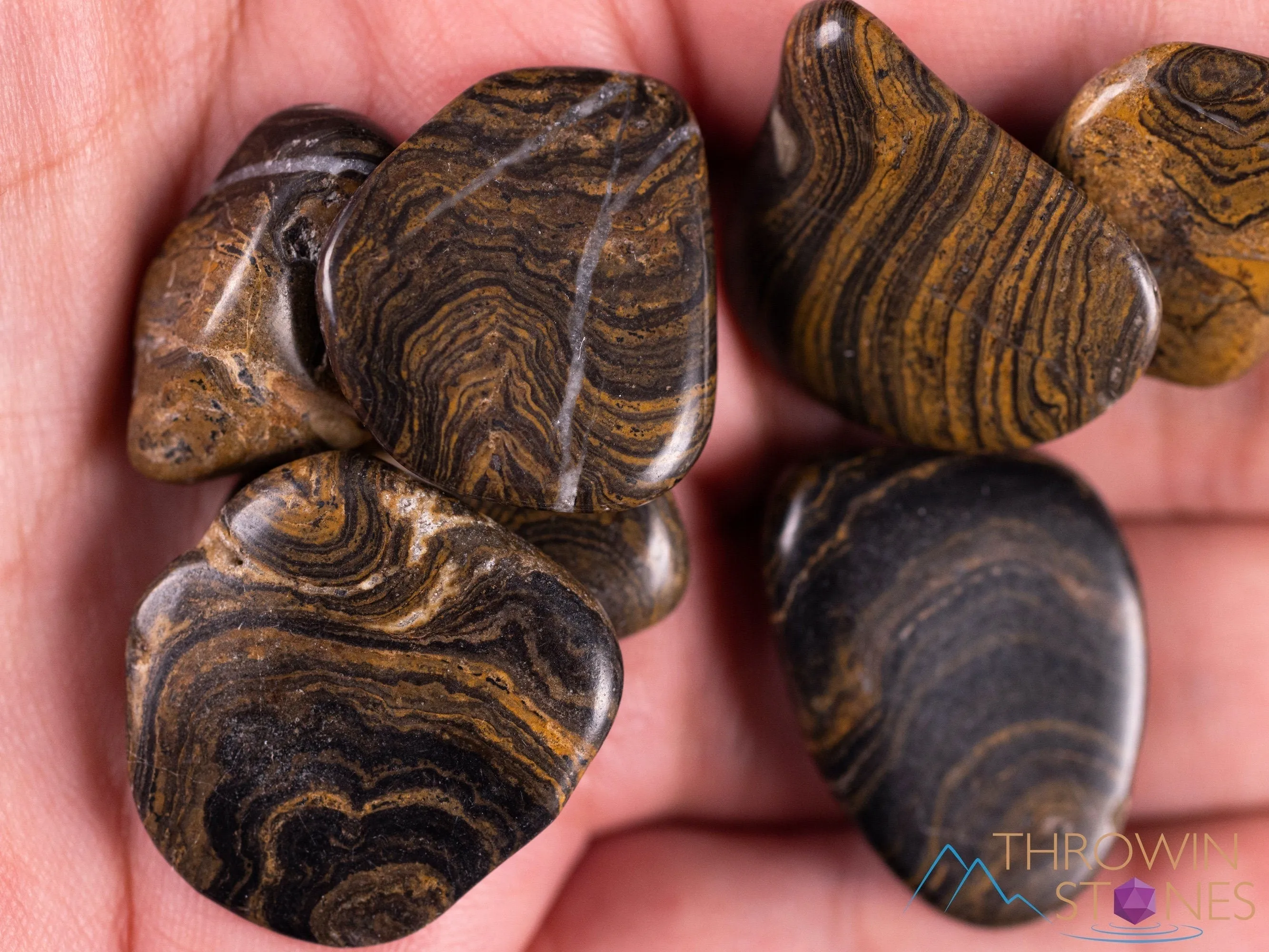 STROMATOLITE Fossil Tumbled Stones - Tumbled Crystals, Self Care, Healing Crystals and Stones, E1105