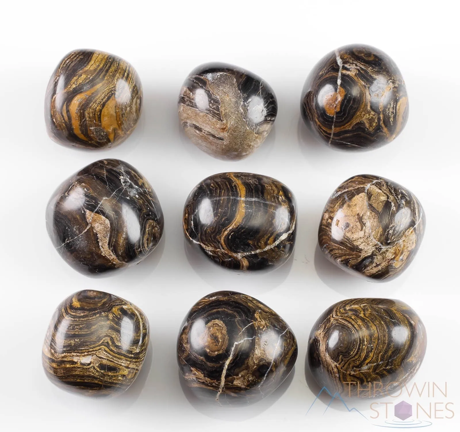 STROMATOLITE Fossil Tumbled Stones - Tumbled Crystals, Self Care, Healing Crystals and Stones, E1105