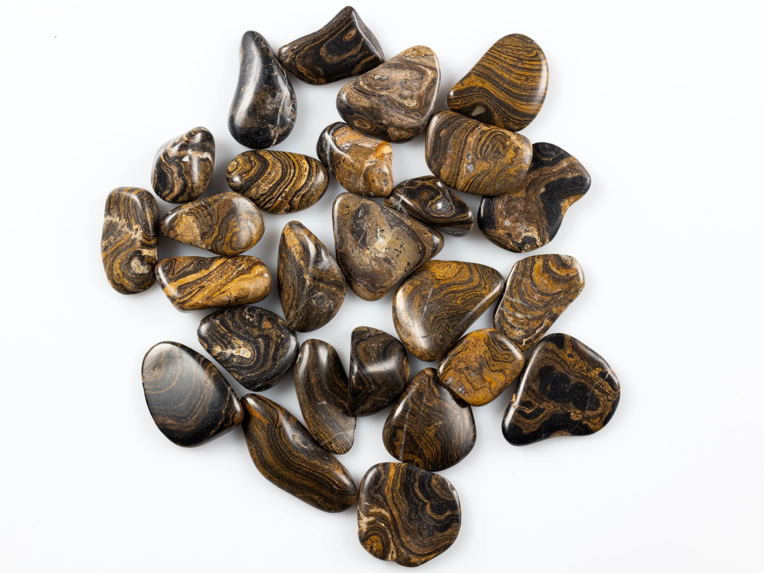 STROMATOLITE Fossil Tumbled Stones - Tumbled Crystals, Self Care, Healing Crystals and Stones, E1105