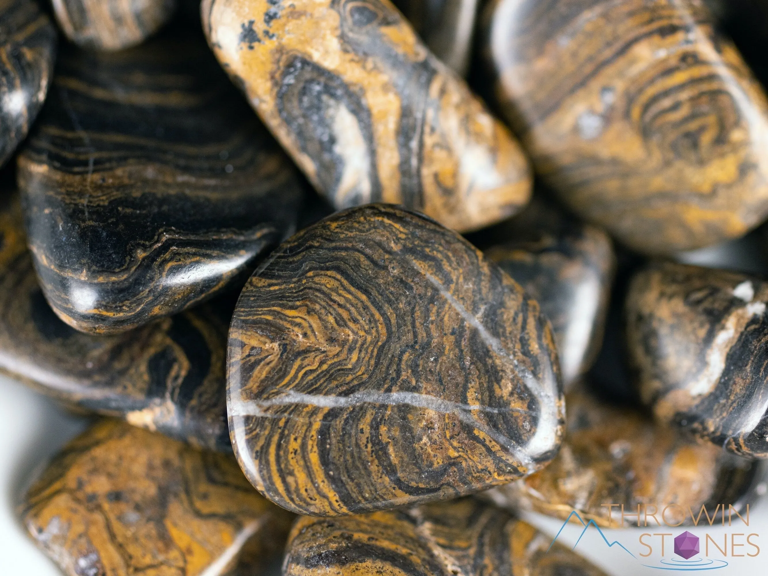 STROMATOLITE Fossil Tumbled Stones - Tumbled Crystals, Self Care, Healing Crystals and Stones, E1105